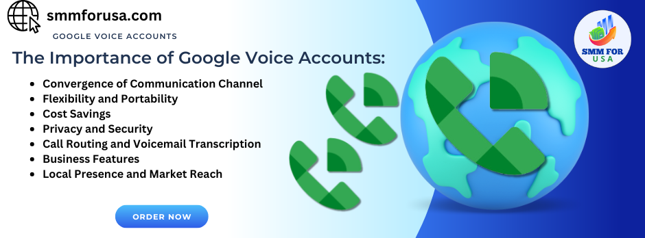 importance of google voice accounts
